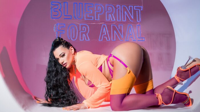 Blueprint For Anal Part 1
