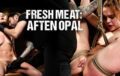 Fresh Meat Aften Opal Fucked in Tight Bondage