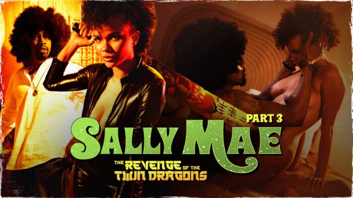 Alina Ali Sally Mae The Revenge of the Twin Dragons Part 3