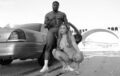 Kazumi Squirts – Backseat Action Riding around & getting it