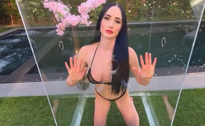 Violet Voss Dom Programming