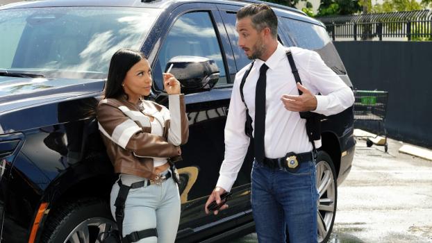 digitalplayground brandy salazar criminal activity part 2