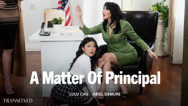 Transfixed Lulu Chu Ariel Demure A Matter Of Principal yourdailypornvideos
