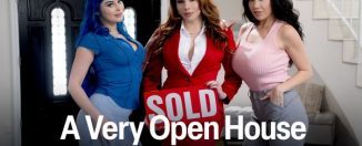 Transfixed Jewelz Blu Ariel Demure Little Puck A Very Open House yourdailypornvideos
